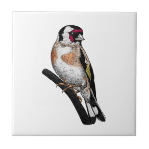 Goldfinch drawing tile