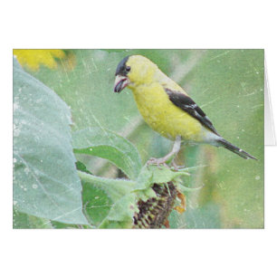 Goldfinch Grunge