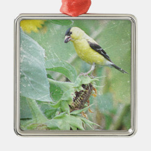 Goldfinch Grunge Metal Tree Decoration
