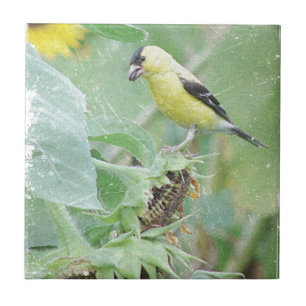 Goldfinch Grunge Tile