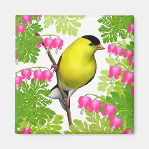 Goldfinch in Bleeding Heart Flowers Magnet