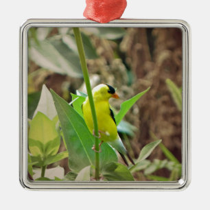 Goldfinch Metal Tree Decoration