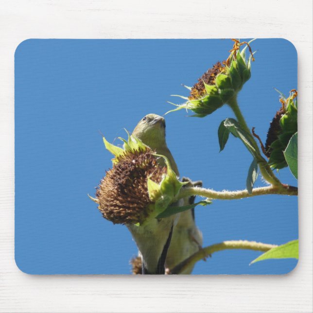 Goldfinch Mouse Pad (Front)