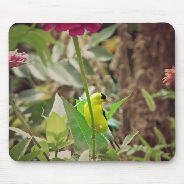Goldfinch Mouse Pad (Front)
