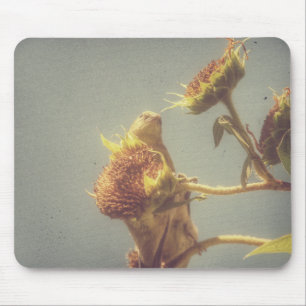 Goldfinch Mouse Pad