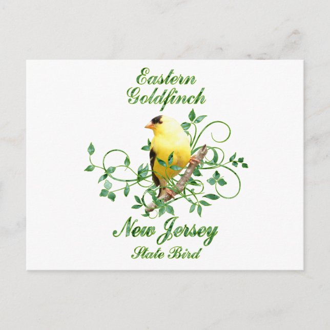Goldfinch New Jersey State Bird Postcard (Front)