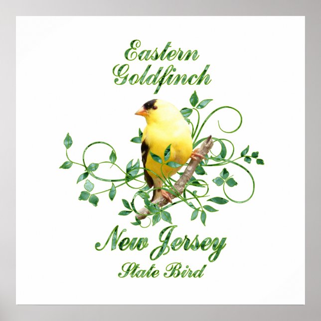 Goldfinch New Jersey State Bird Poster (Front)