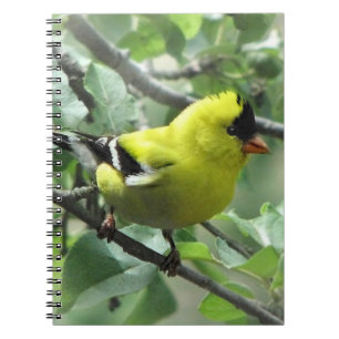 Goldfinch Notebook