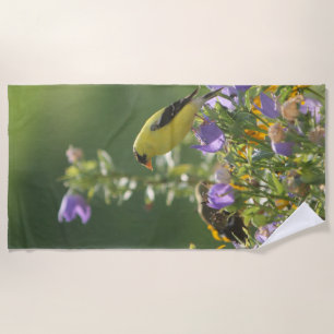 Goldfinch on a Harebell Flower Beach Towel