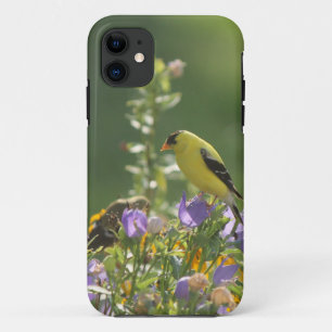 Goldfinch on a Harebell Flower Case-Mate iPhone Case