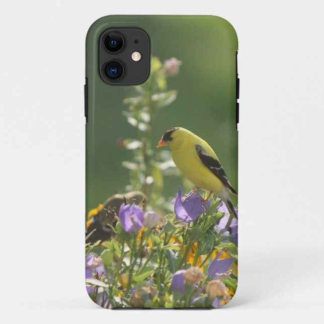 Goldfinch on a Harebell Flower      Case-Mate iPhone Case (Back)