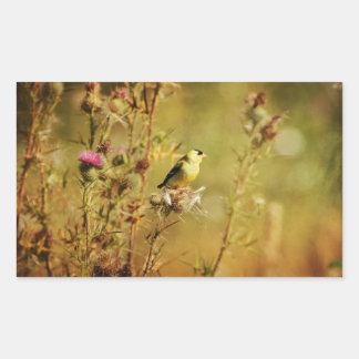 Goldfinch Photo Rectangular Sticker