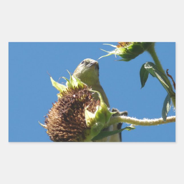 Goldfinch Rectangular Sticker (Front)