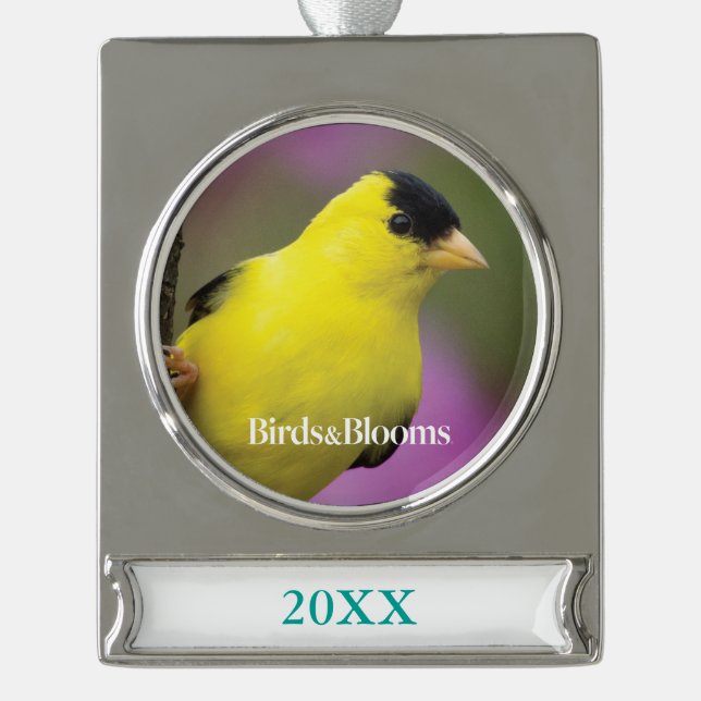 Goldfinch Silver Plated Banner Ornament (Front)
