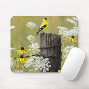 Goldfinch Singing on a Fence Post Mouse Pad