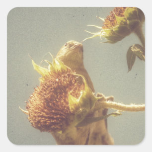 Goldfinch Square Sticker