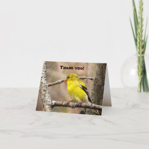 Goldfinch Thank You Card