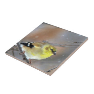 Goldfinch Tile