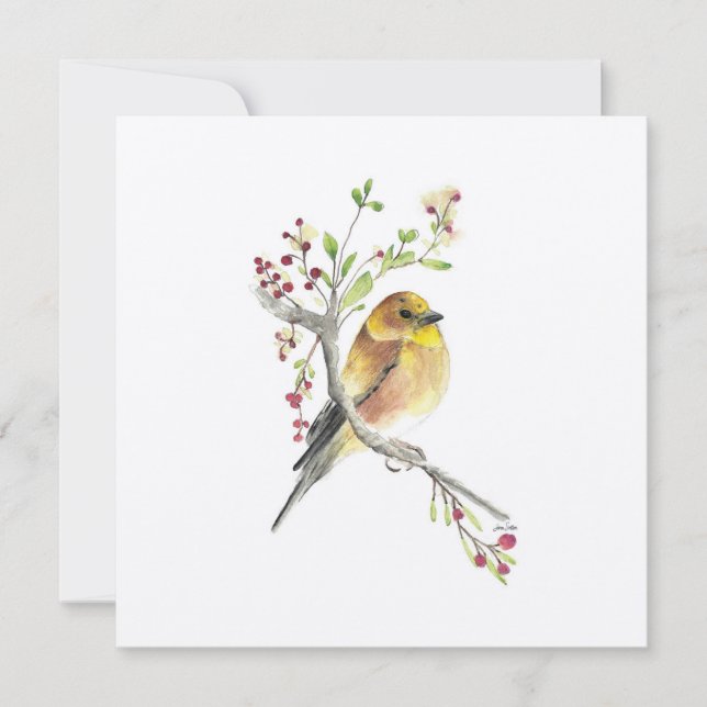 Goldfinch Watercolor Bird (Front)