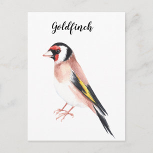 Goldfinch watercolor painted bird. Nice card. Postcard