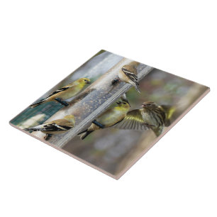 Goldfinches at the Feeder Tile