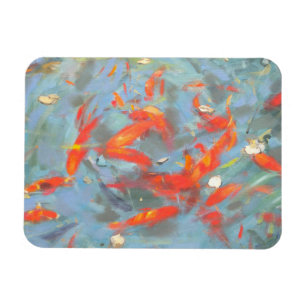 Goldfish 2010 2 magnet