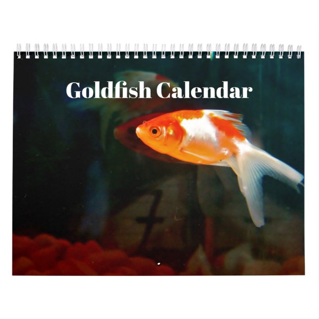 Goldfish 2027 calendar (Cover)