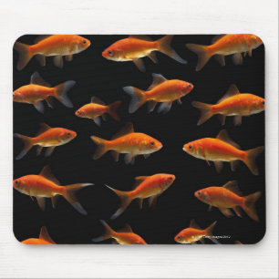 Goldfish 2 mouse pad