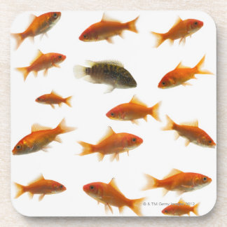 Goldfish 3 coaster