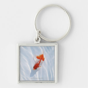 Goldfish 5 key ring