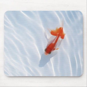 Goldfish 5 mouse pad