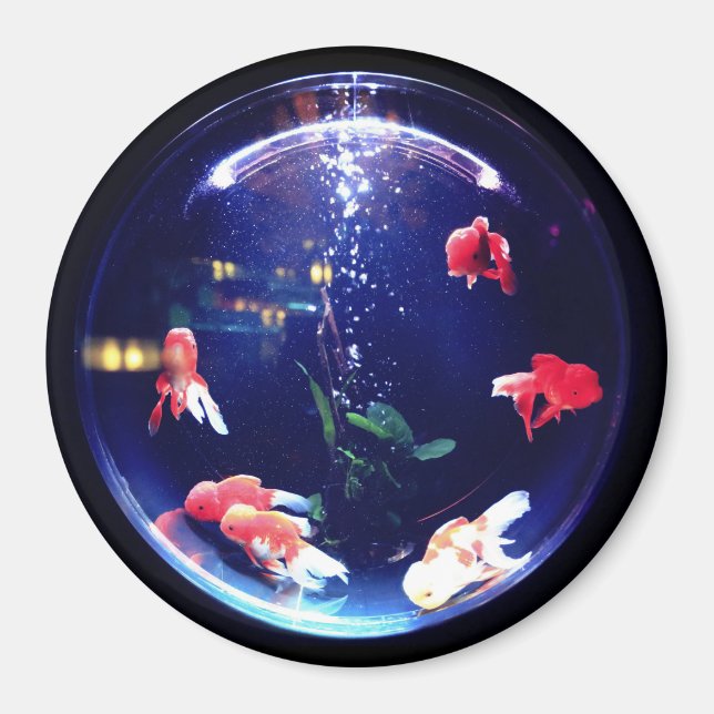 Goldfish bowl aquarium magnet (Front)
