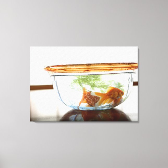 Goldfish bowl canvas print (Front)