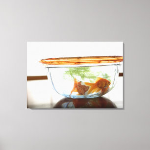 Goldfish bowl canvas print