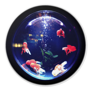 Goldfish bowl ceramic knob