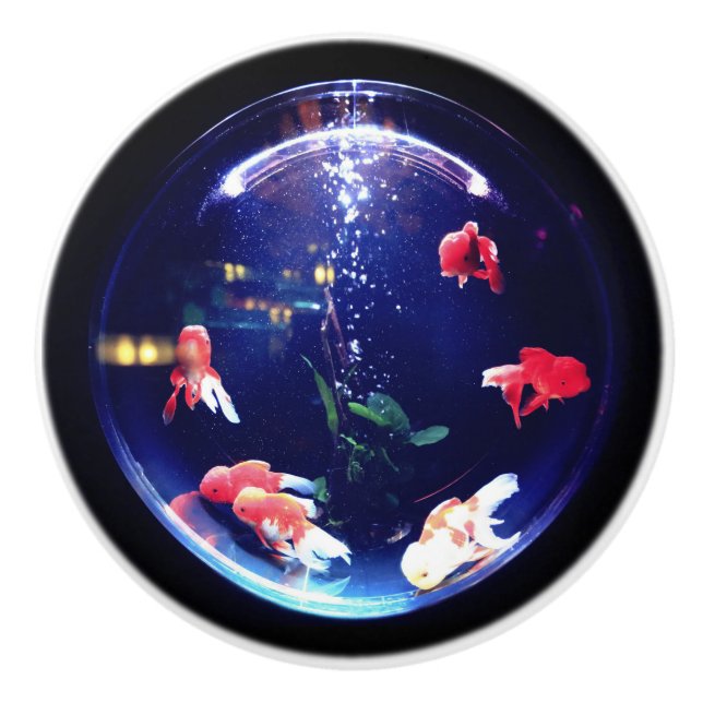 Goldfish bowl ceramic knob (Front)