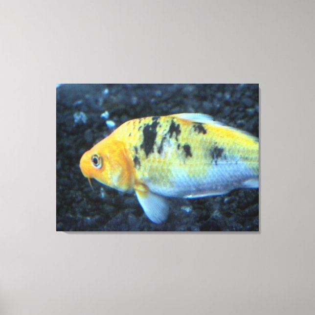 Goldfish Canvas Print (Front)