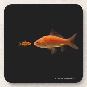 Goldfish Coaster