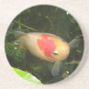 Goldfish Coasters