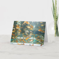 "Goldfish" Get Well Card