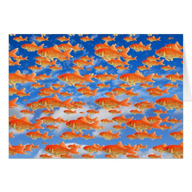 Goldfish Heaven (Front Horizontal)
