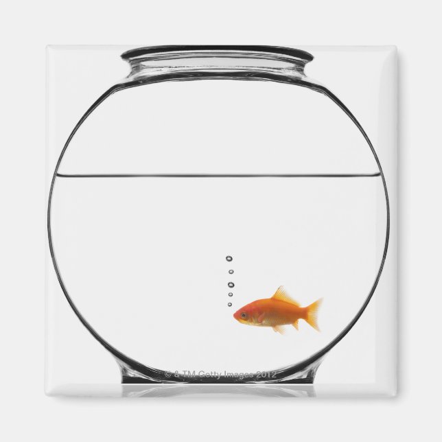 Goldfish in bowl magnet (Front)