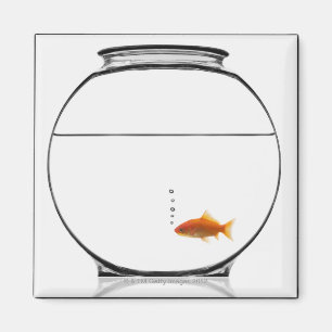 Goldfish in bowl magnet