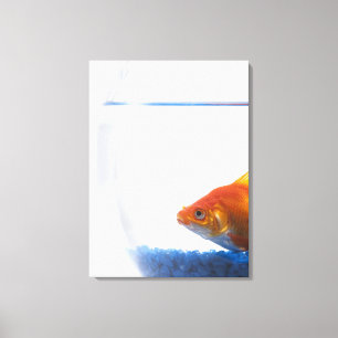 Goldfish in bowl on white background canvas print