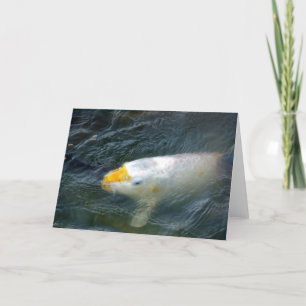 Goldfish In Lake Card