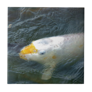 Goldfish In Lake Tile