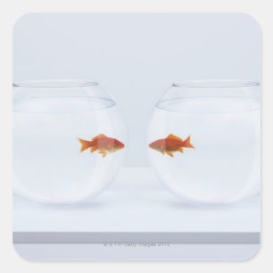 Goldfish in separate fishbowls looking face to fac square sticker