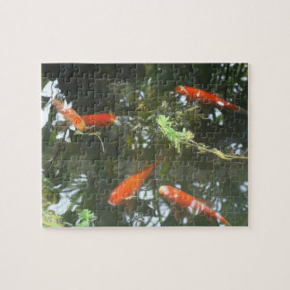 Goldfish Jigsaw Puzzle