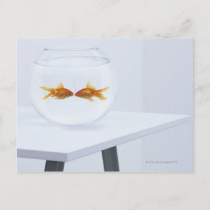Goldfish kissing in fishbowl postcard