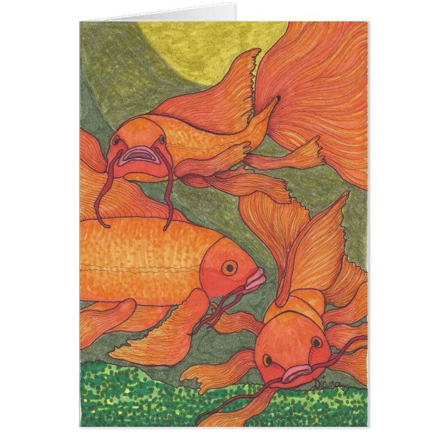 Goldfish - Koi (Front)